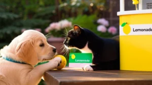 Lemonade Pet Insurance: Fast, Clear Coverage