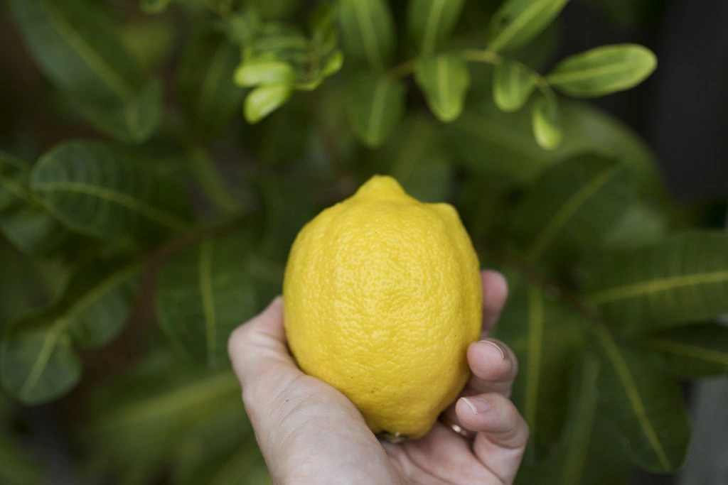 These 11 Easy DIY Alternatives Will Save You Money on Household Products