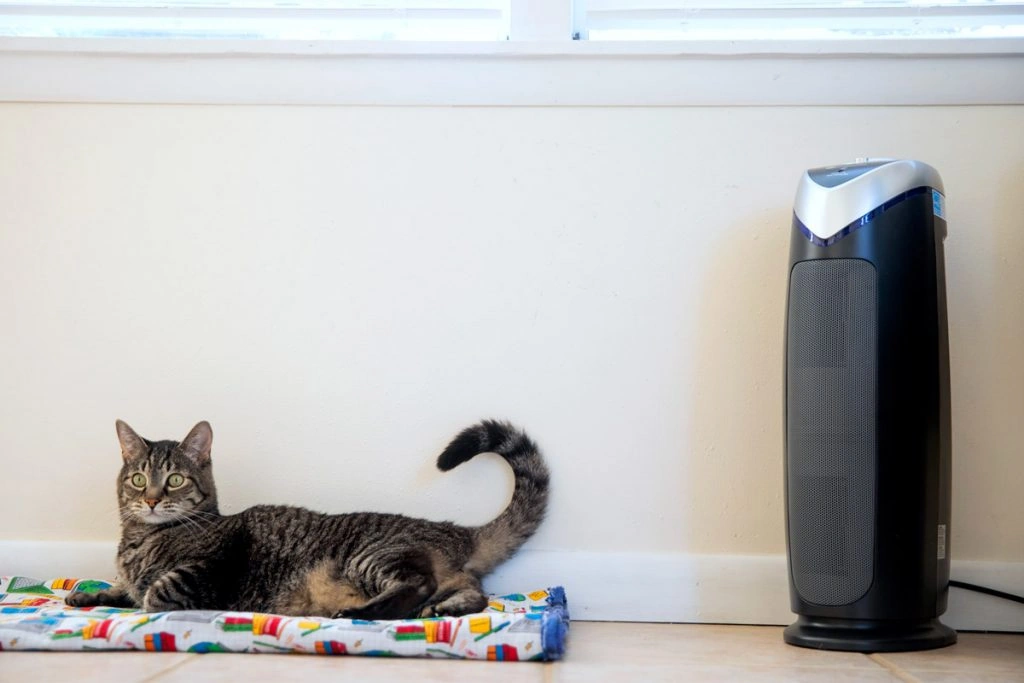 Here’s How to Find the Best Air Purifier for Your Budget