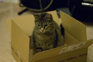 Amazon Warehouse Deals: Save on Open-Box Items