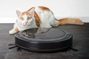 Sweep Up the Savings (And Pet Hair) With These Budget Robot Vacuums