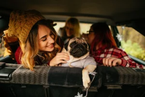 Best Cars For Dogs: Top Pet-Friendly Picks
