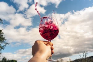 Best Cheap Red Wine Picks Under $18