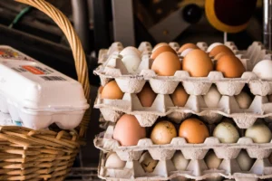 Cage Free Vs Free Range Vs Pastured Eggs Guide