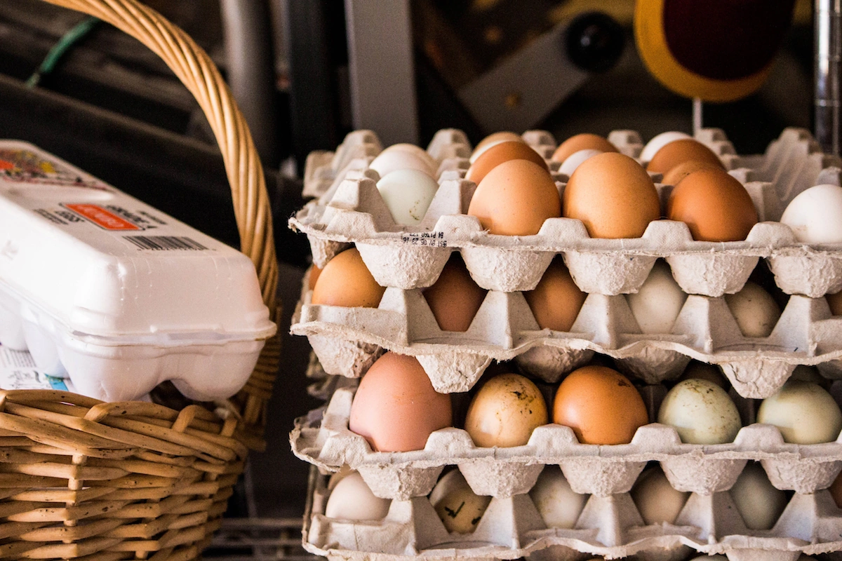 Cage Free Vs Free Range Vs Pastured Eggs Guide