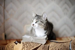 Cats With Money Workbook — Purrsonal Finance Fun