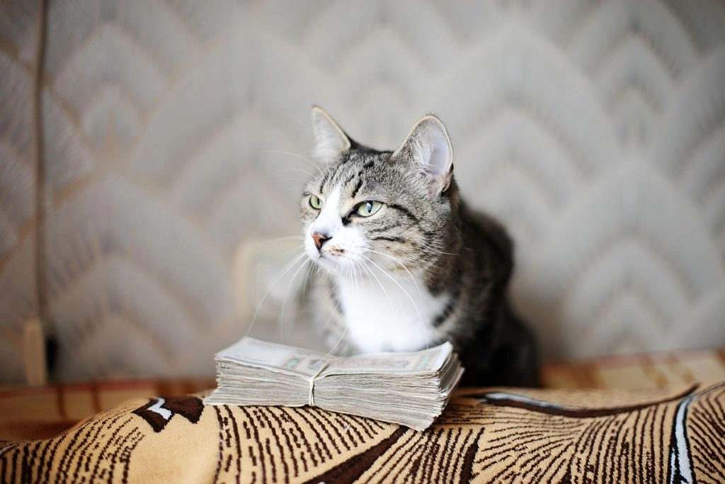 Cats With Money Workbook — Purrsonal Finance Fun