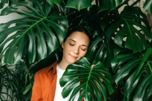 Cheap Plants on a Budget — Best Places to Buy