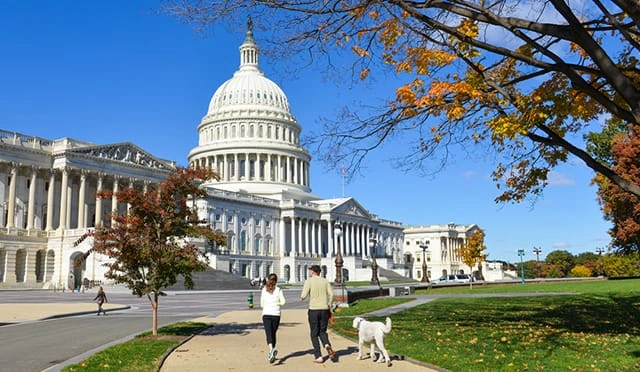 Cheap Things To Do In Dc on a Budget