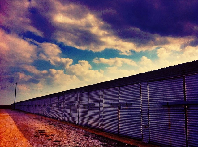 How to Store Your Data in the Cloud Without Going Broke