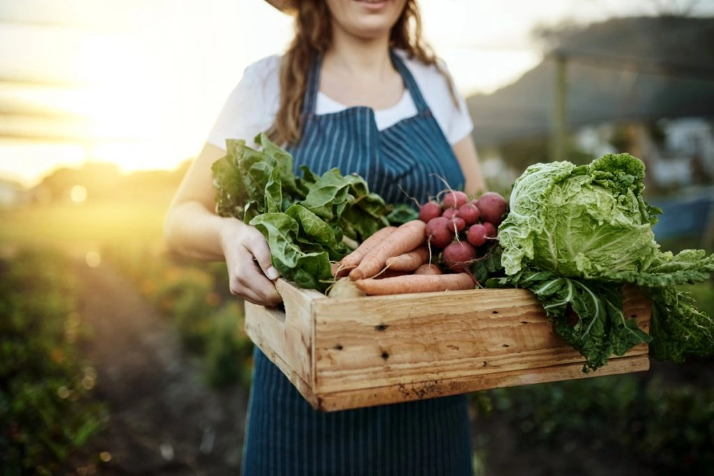 Here’s How a Community Supported Agriculture Program Can Save Grocery Money