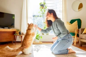 Penny-Pinching for Pet Owners: Save With DIY Cat Toys and Treats