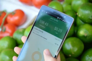 Check Ebt Balance Fast with Fresh EBT App