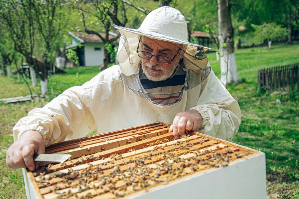 16 Things You Can Learn About For Free or Cheap at Your County Extension Office