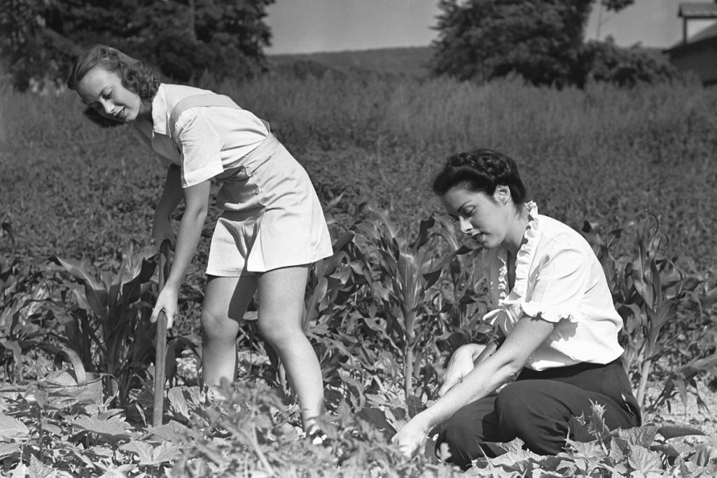 History Can Help You Save with these Great Depression Money Hacks