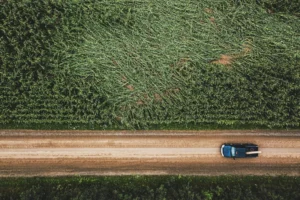 How To Car Auction: Buy Smart at Auto Auctions