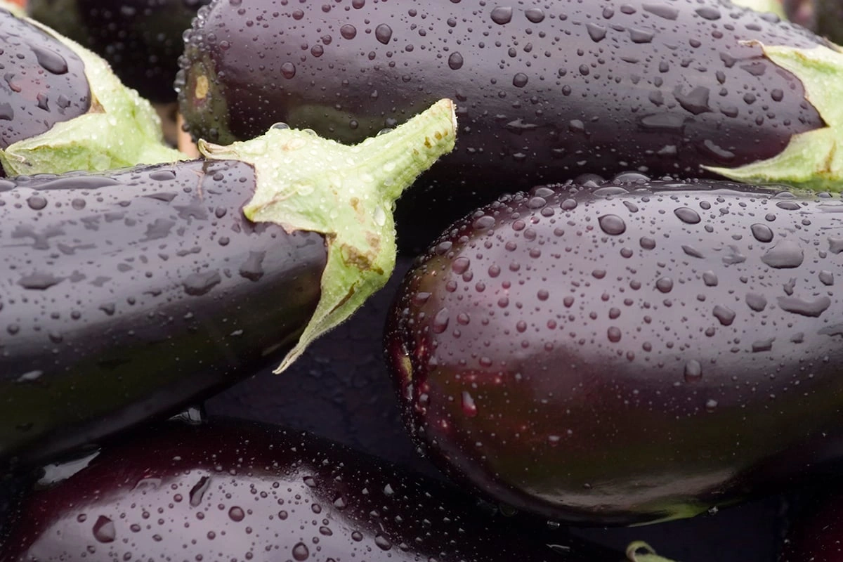 How To Cook Eggplant Easily and Well