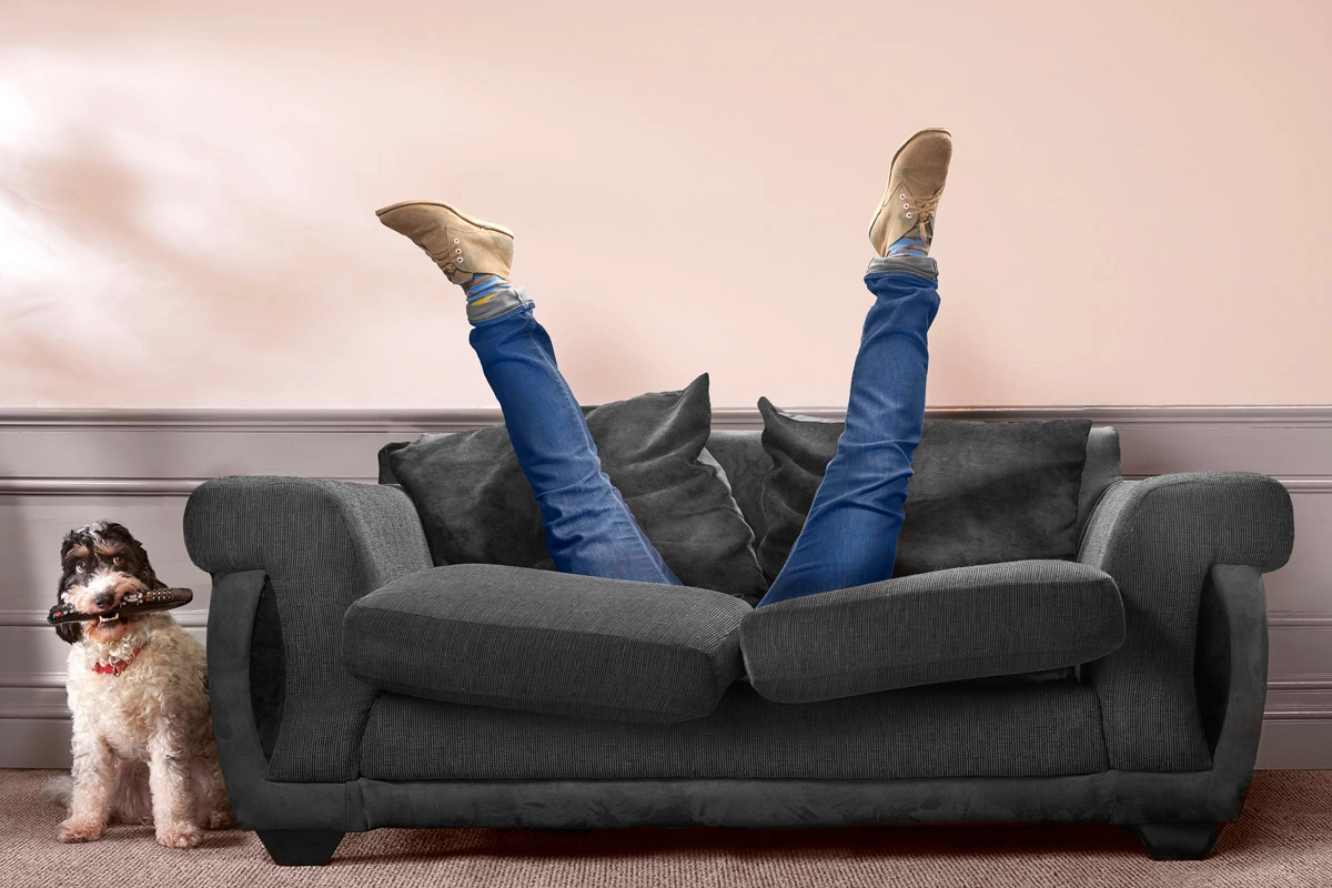 How To Train Your Dog: Easy Home Methods