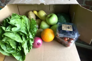 Hungry Harvest Produce Delivery Deals