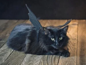 Last Minute Costume Ideas For Pets — Quick Picks
