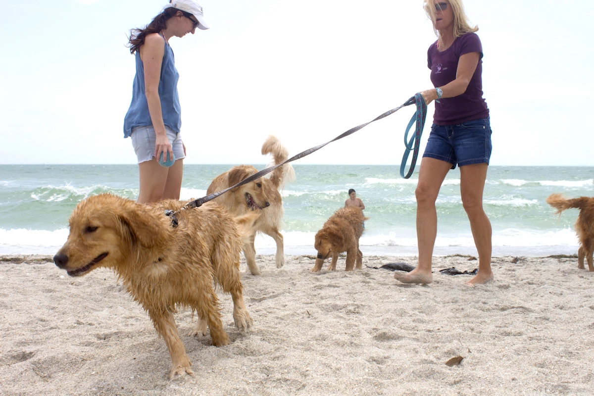 Love Living St Pete: Why Residents Thrive