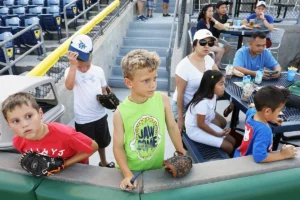 Minor League Baseball On A Budget — Affordable Fun