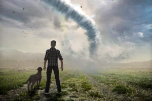 Here’s What to Have in Your Pet Emergency Kit in Case Disaster Strikes