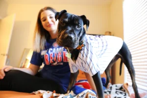 Petco Rewards And More — Save on Pet Supplies