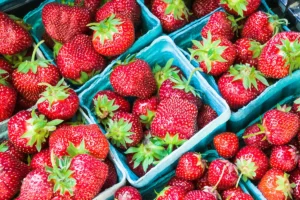 Produce Peak Season March: Fresh Picks Now