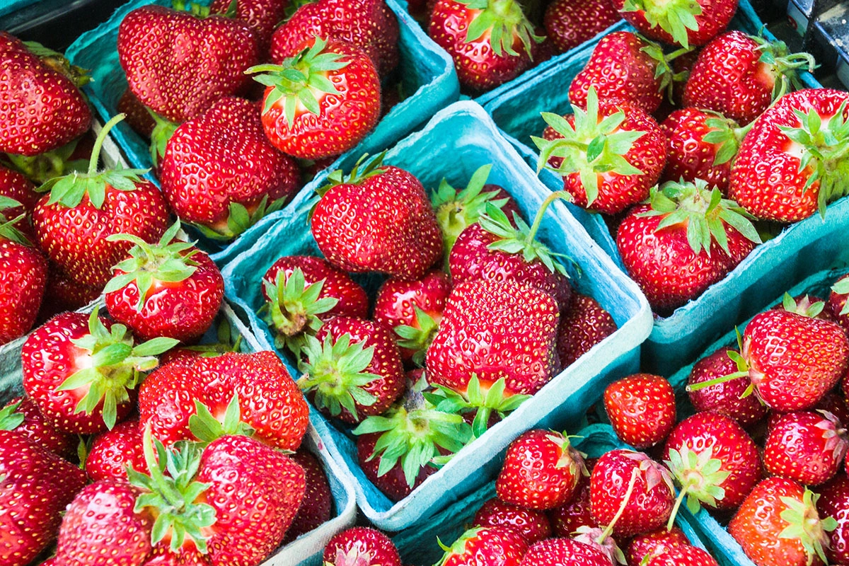 Produce Peak Season March: Fresh Picks Now