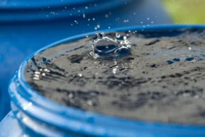 Rainwater Harvesting Tips to Save on Water Bills