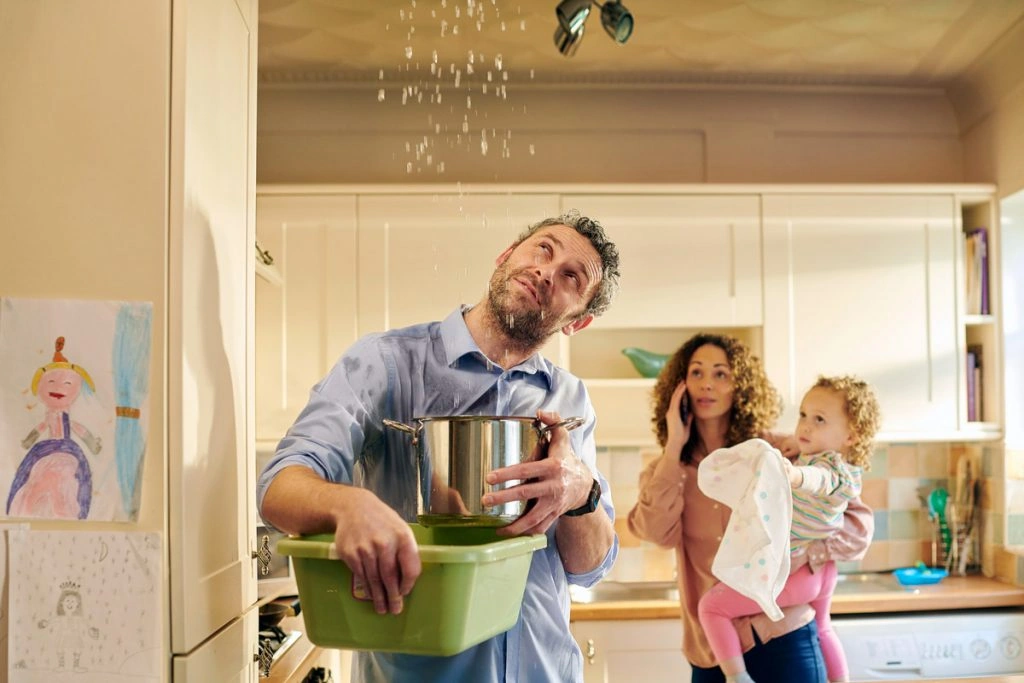 Renters Rights: What Tenants Need to Know