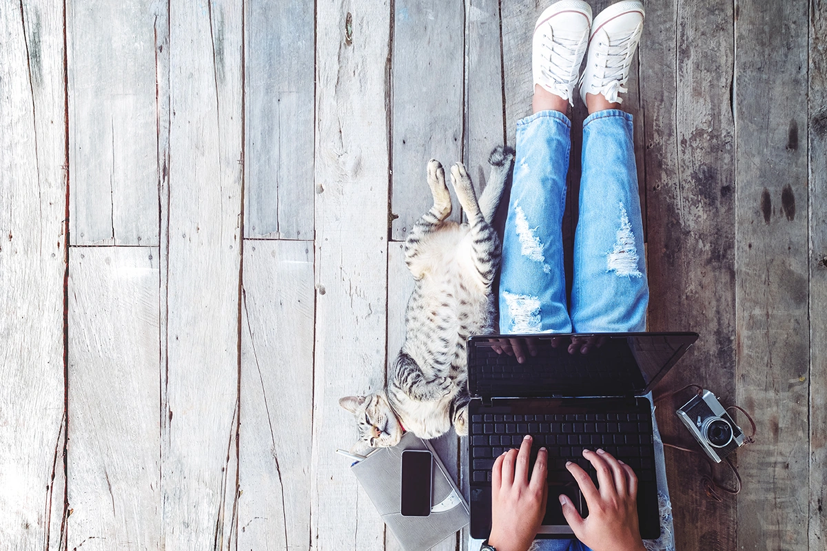 The Ultimate Guide to Saving (and Making) Money Every Time You Shop Online