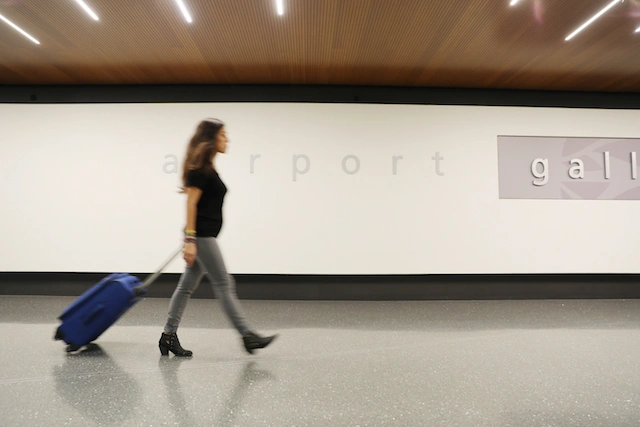 Travel Accessories Always Buy At Dollar Tree — Smart Picks