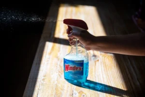 10 Surprising Uses for Windex That Go Beyond Cleaning Glass